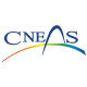 cneas_ico