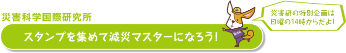 災害科学国際研究所