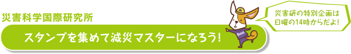 災害科学国際研究所