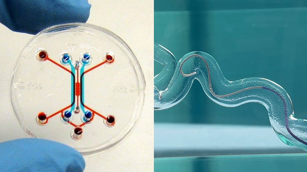 流体科学技術が発展させる医工学